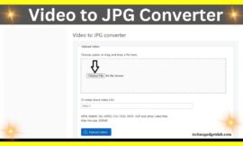 Free Online Video to JPG Converter: Convert Video to Image Sequences