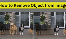 How to Remove Object from Image