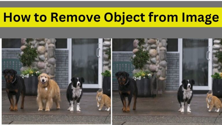 Read more about the article How to Remove Object from Image